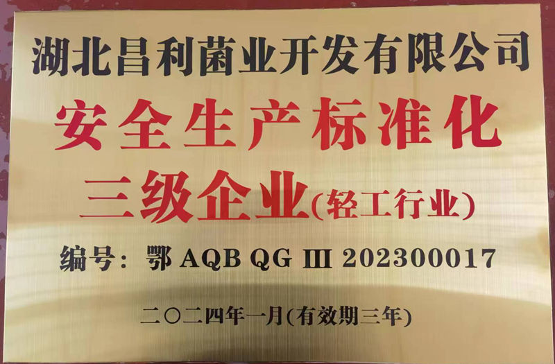 安全出产尺度化三级企业